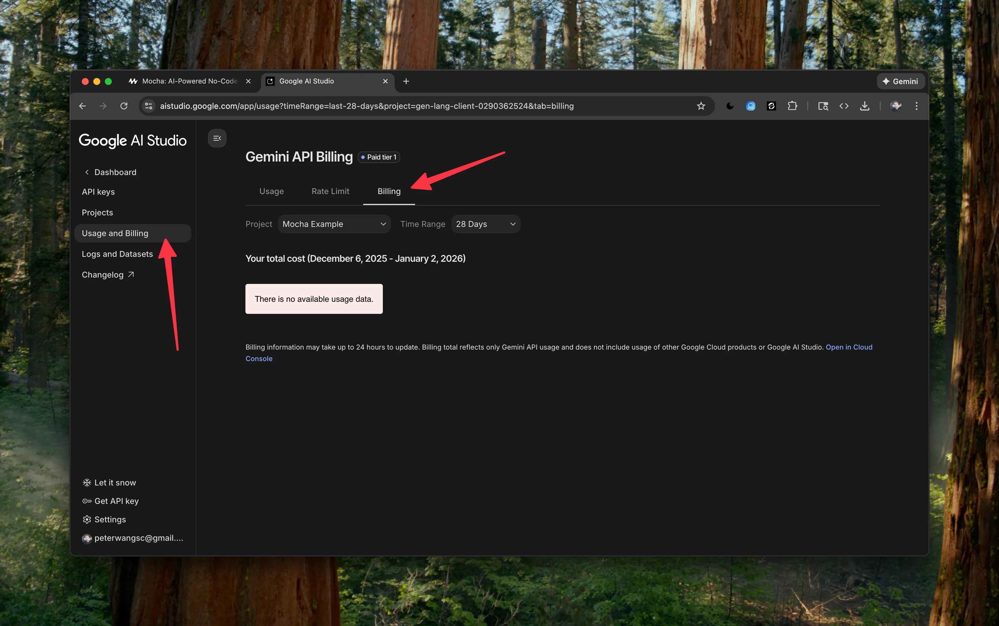 Gemini Billing Setup