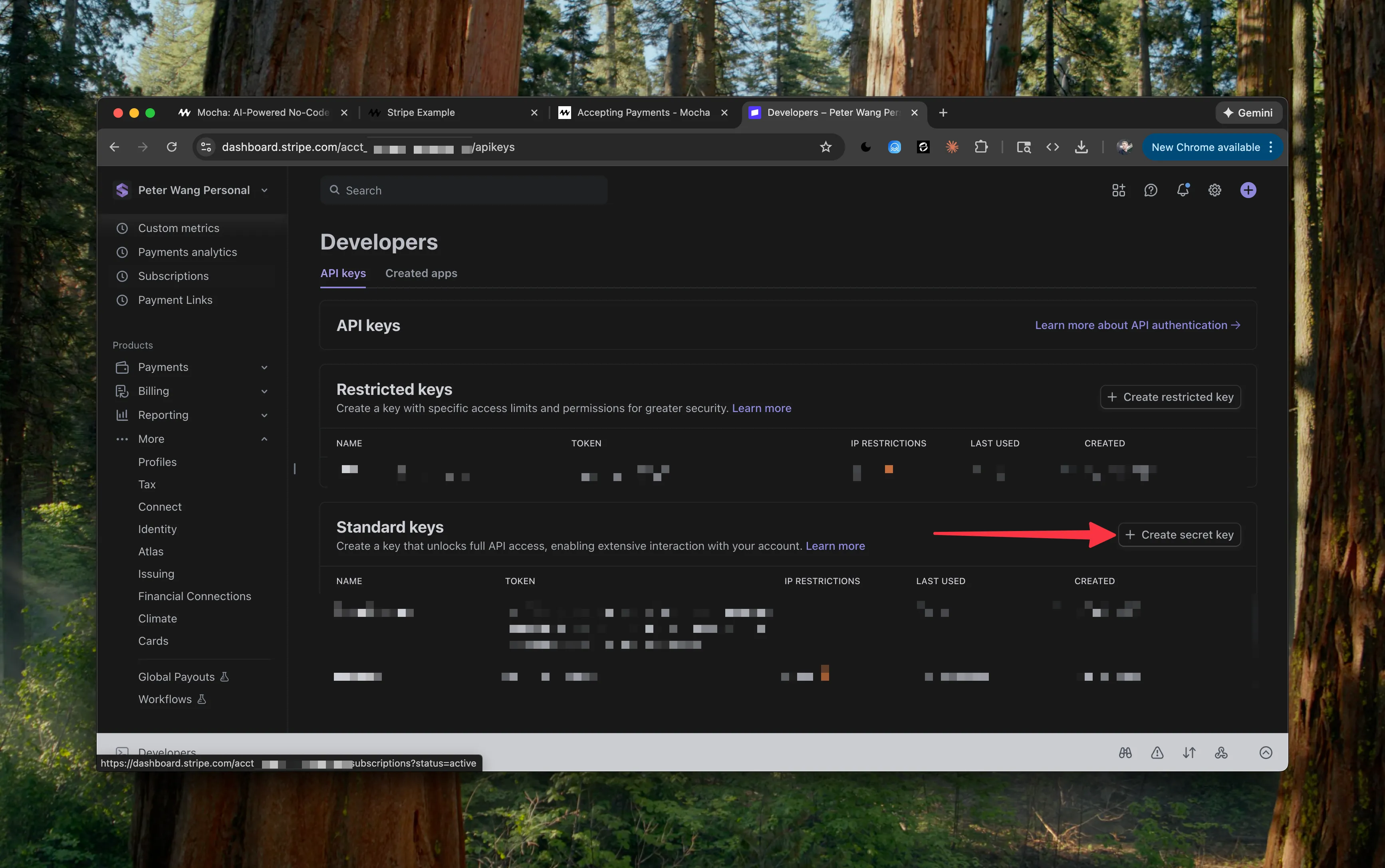 Stripe Secret Key Page