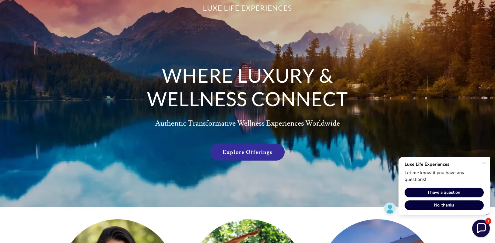 Wellness screenshot